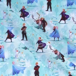 Tecido de Algodão Elsa Anna e Kristoff Frozen Disney | Tecidos Lobo