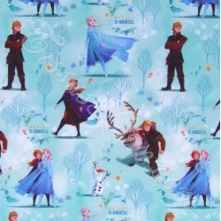 Tecido de Algodão Elsa Anna e Kristoff Frozen Disney | Tecidos Lobo