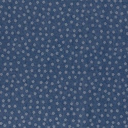 Tecido Jeans stretch impresso em azul claro com pequenas estrelas | Tissus Loup